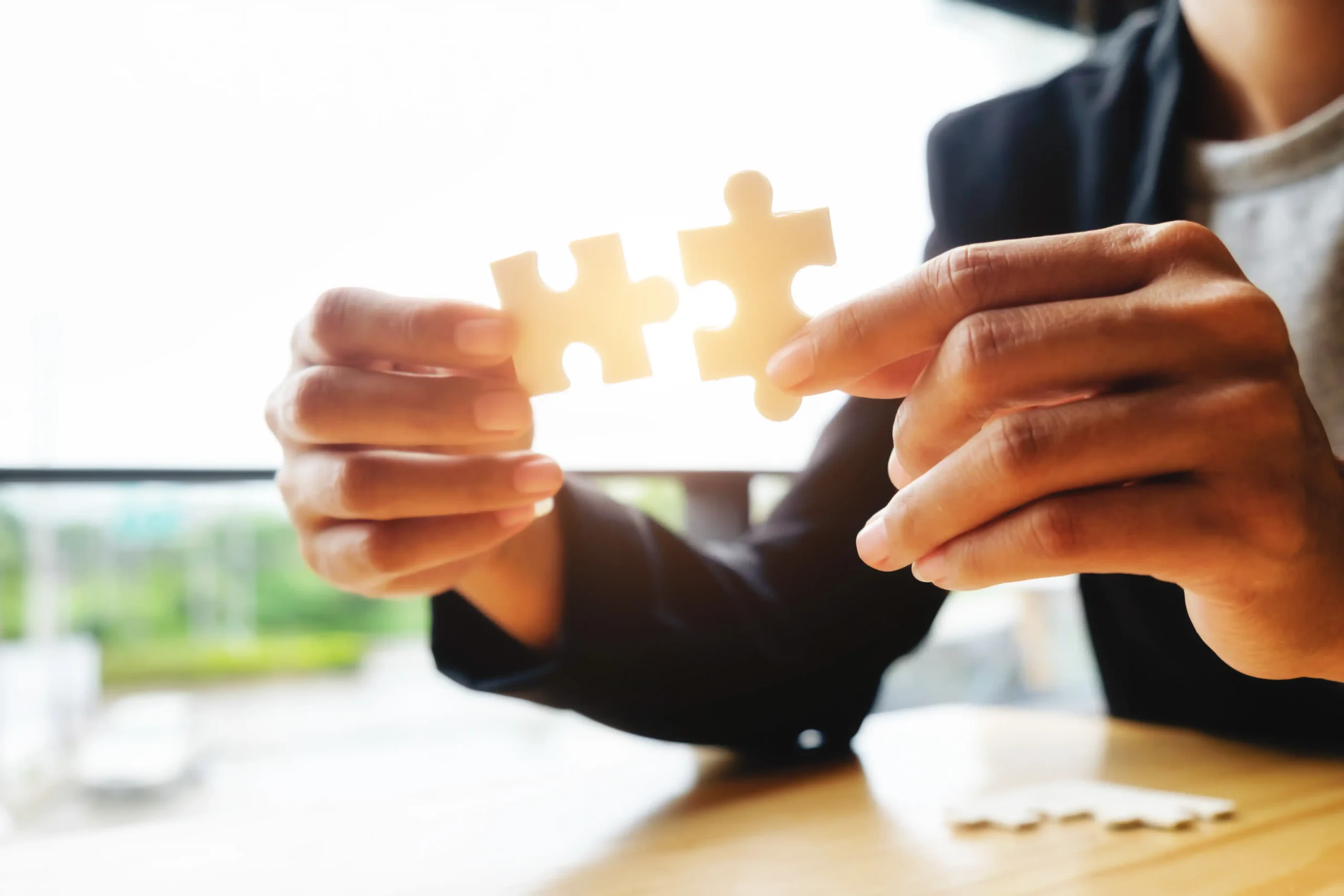 services system integration u